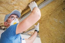 Best Radiant Barrier Insulation  in Warren, IL